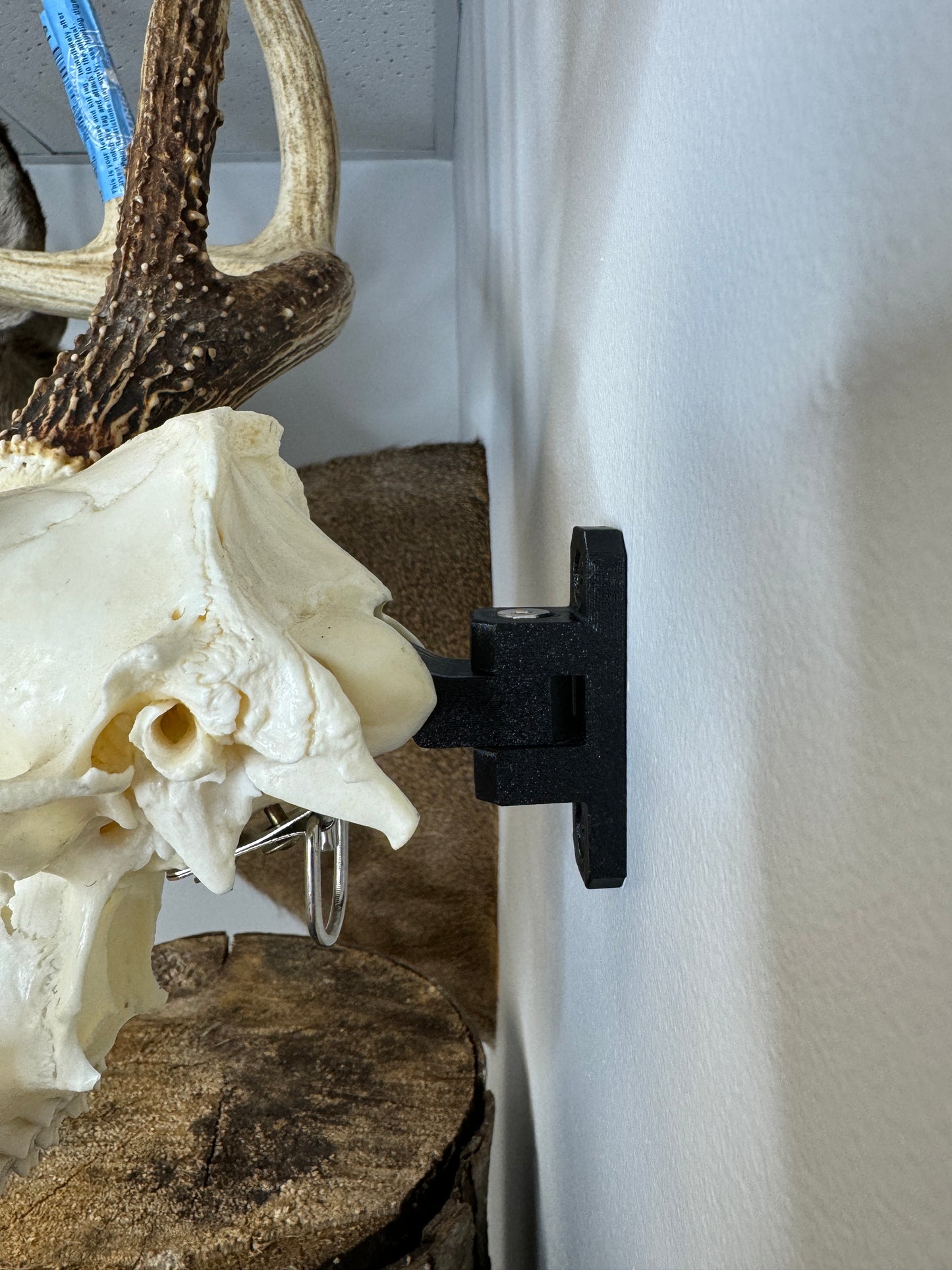 EuroRack Mount
