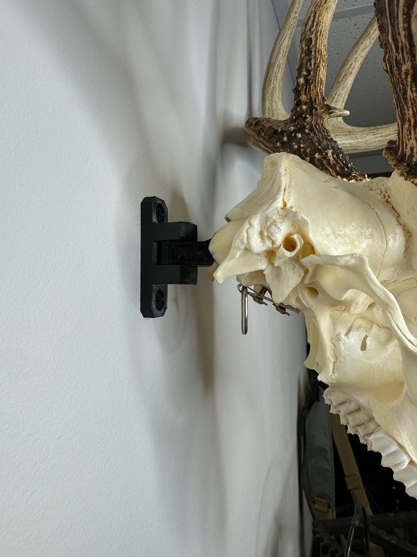 EuroRack Mount