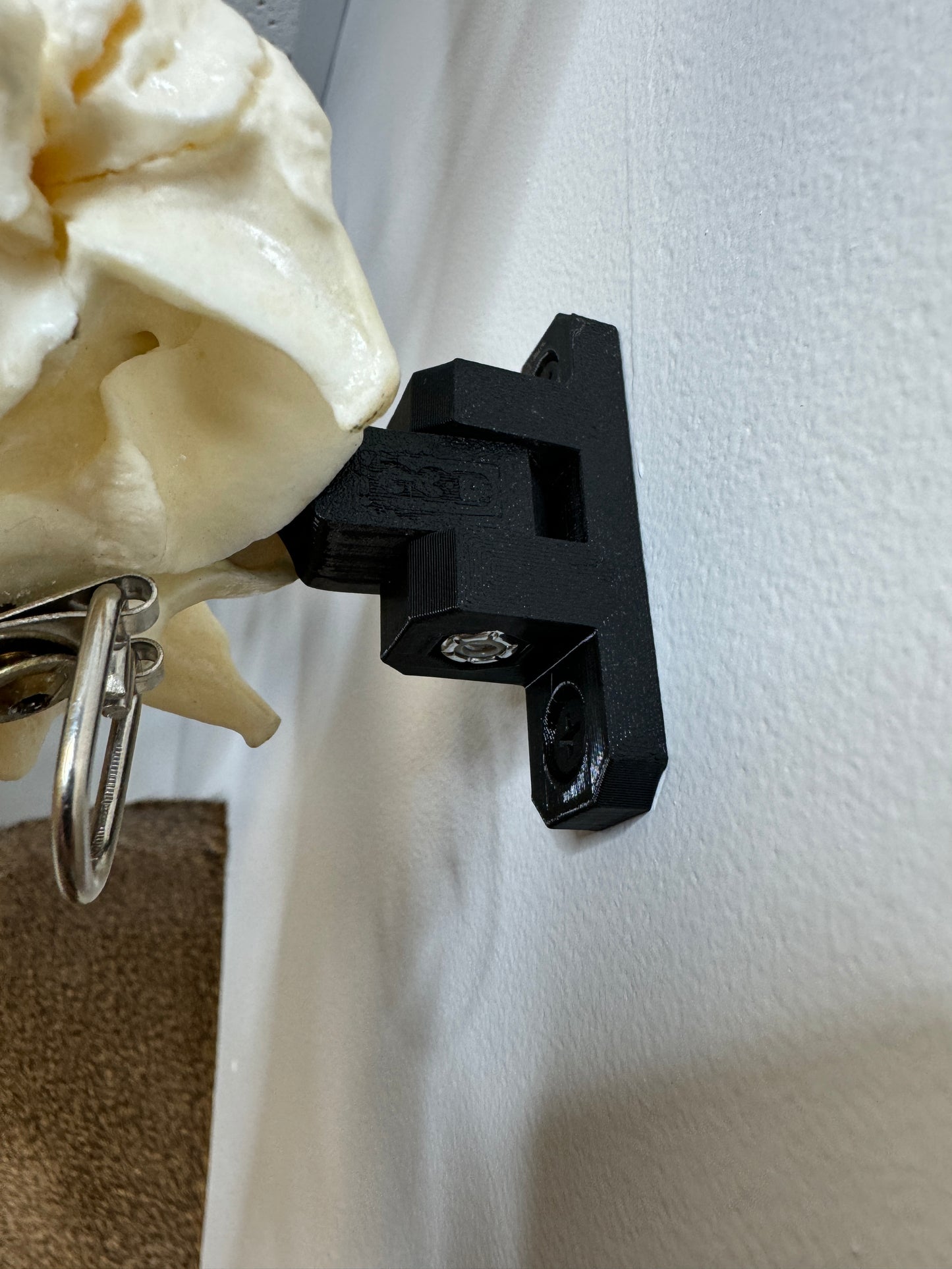 EuroRack Mount