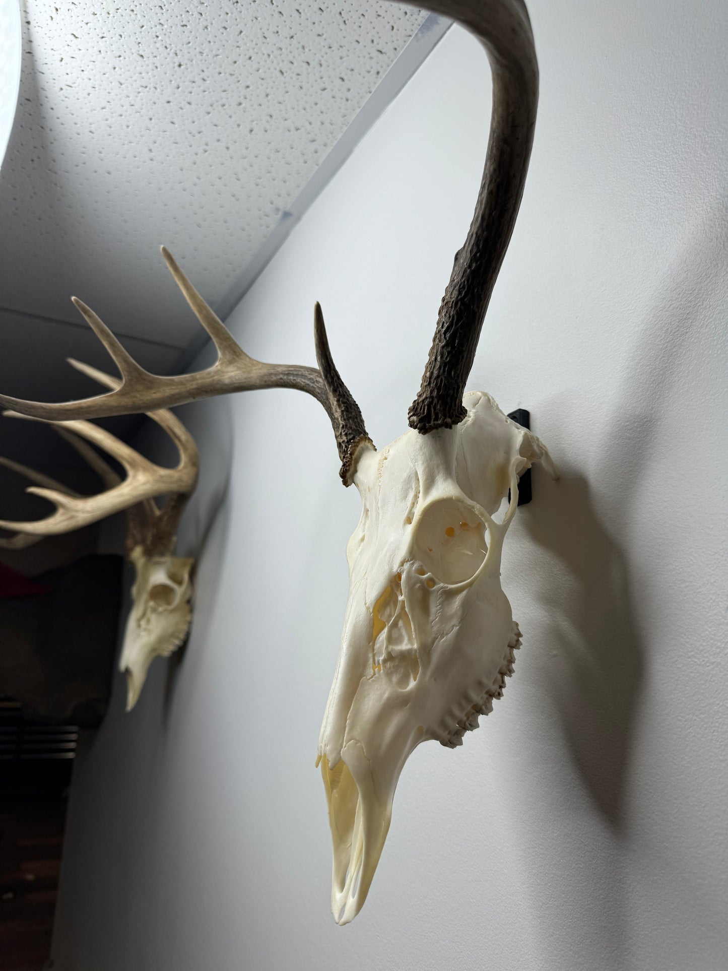 EuroRack Mount
