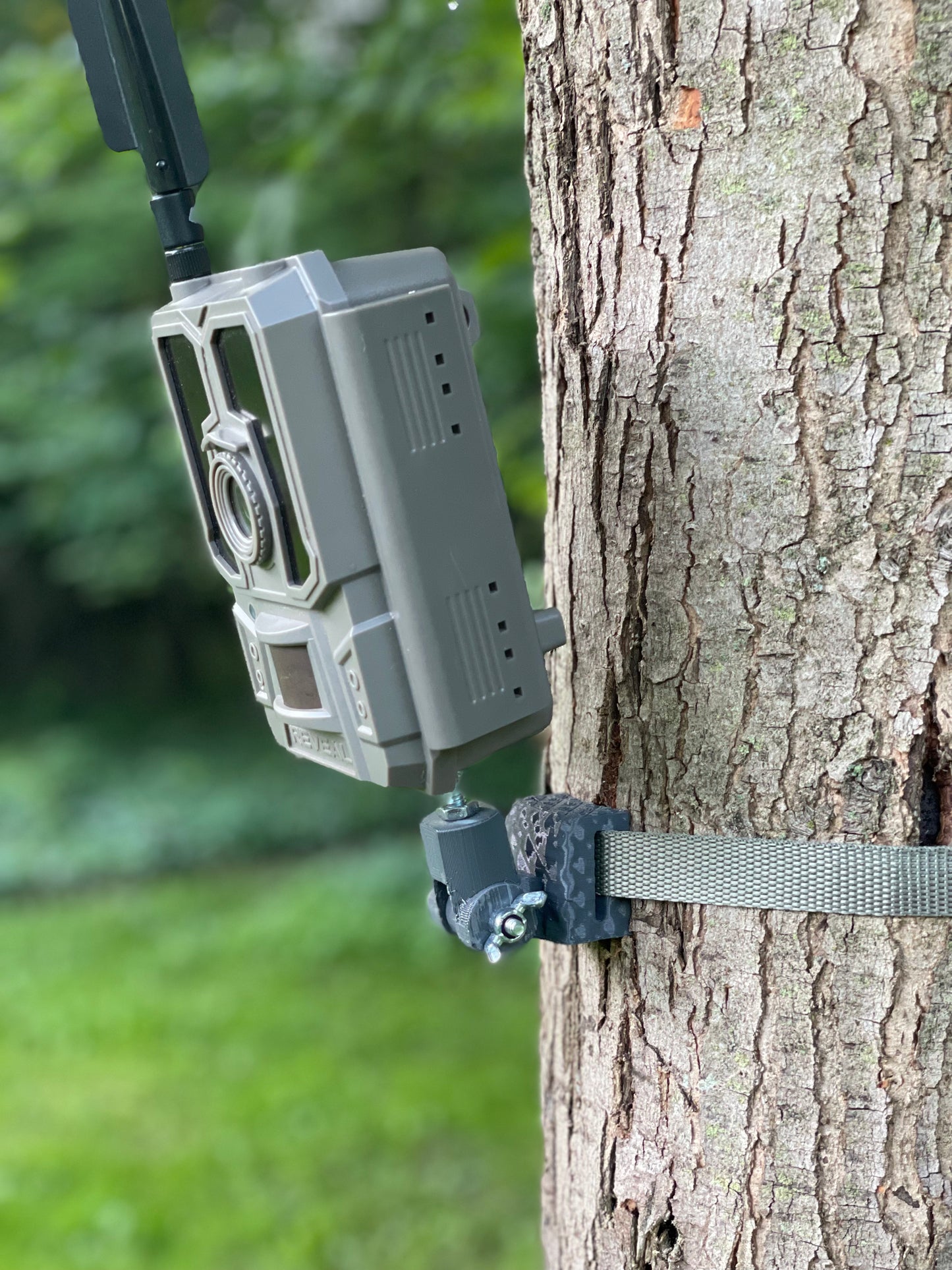 Lookout (Trail Camera Mount)