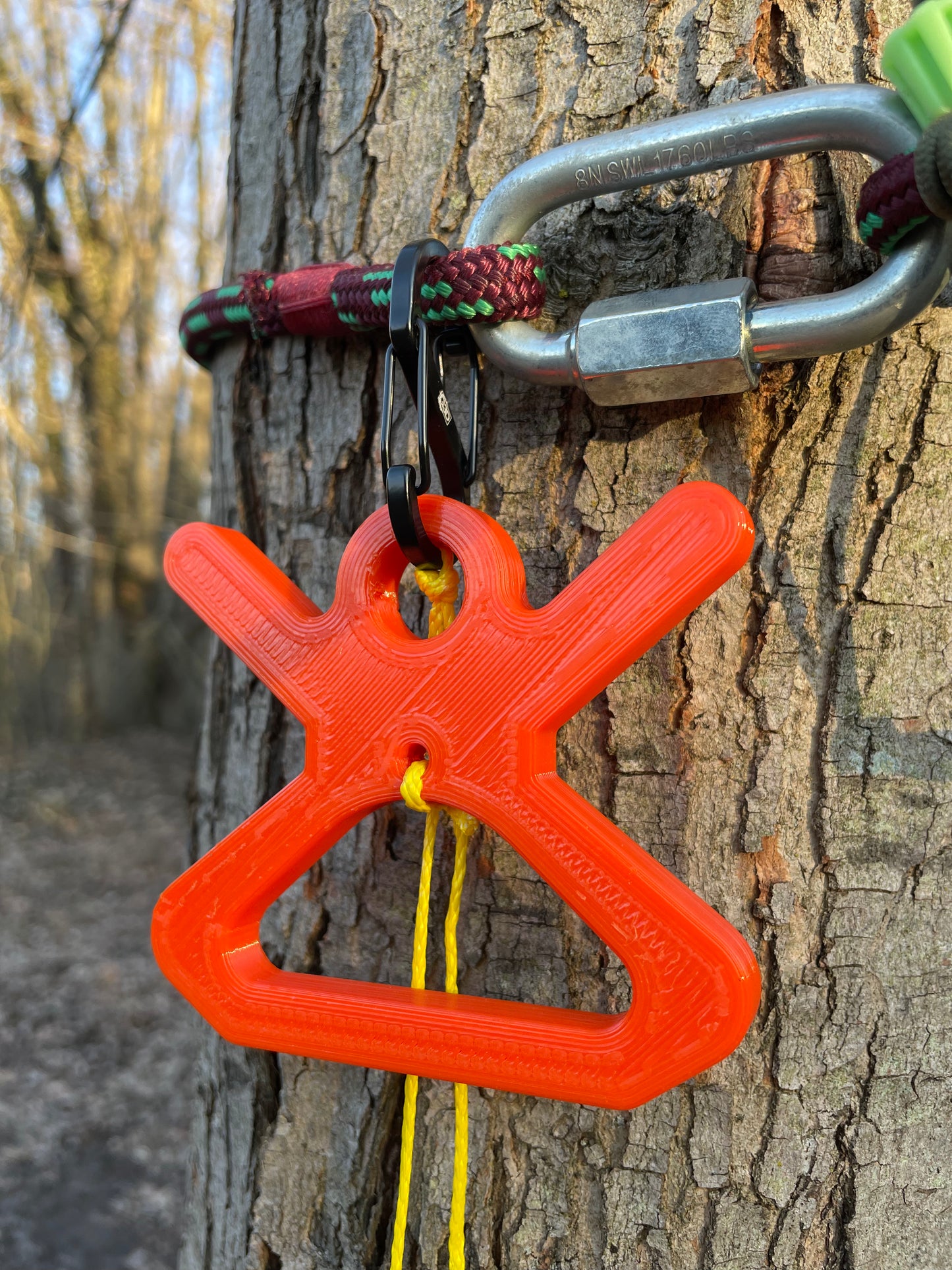 C2 Hoist