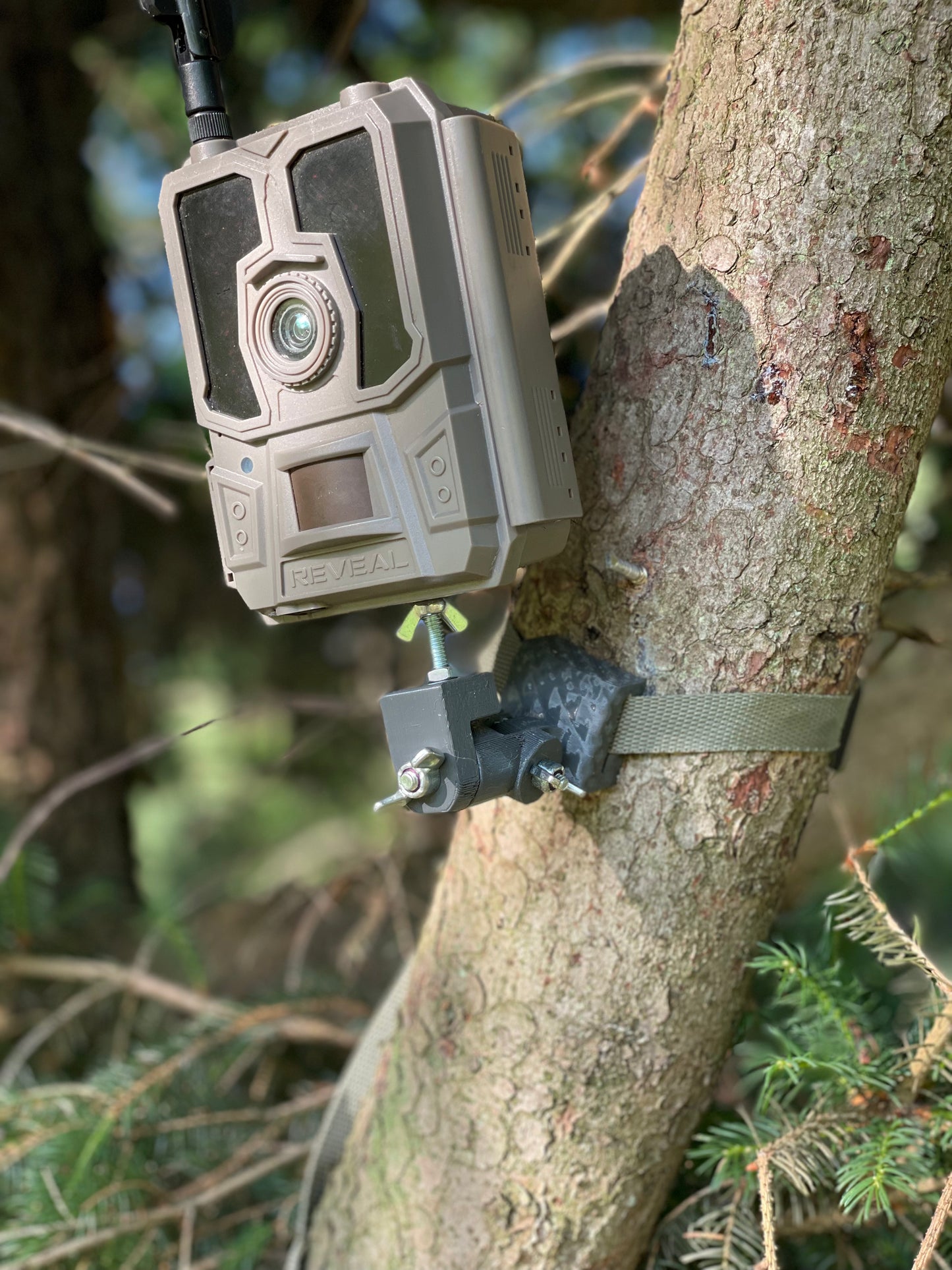 Lookout (Trail Camera Mount)