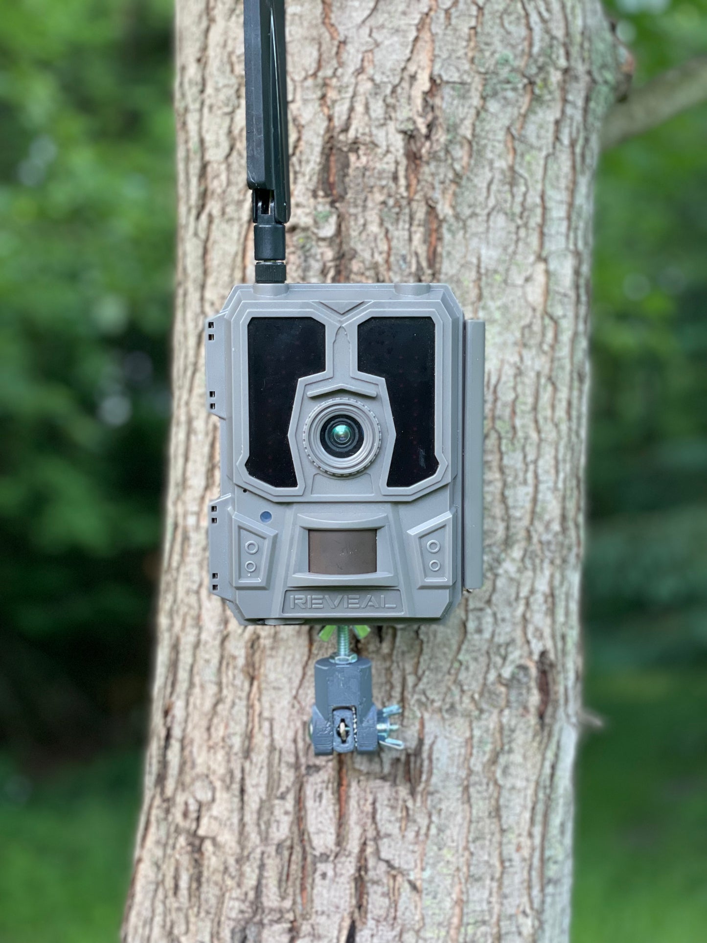 Lookout (Trail Camera Mount)