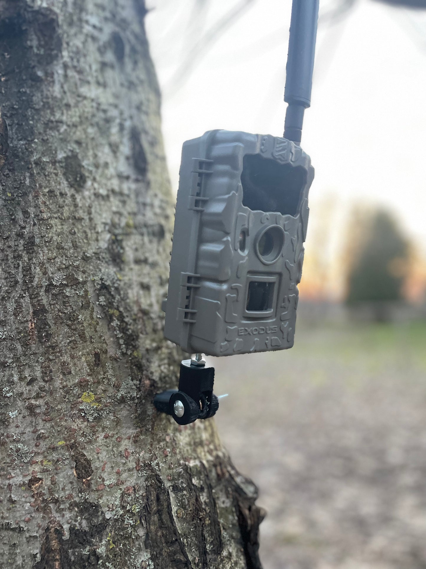 Lookout (Trail Camera Mount)
