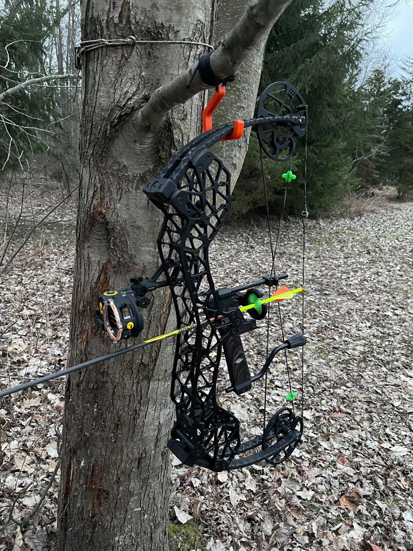 Tree Limb Bow Hanger