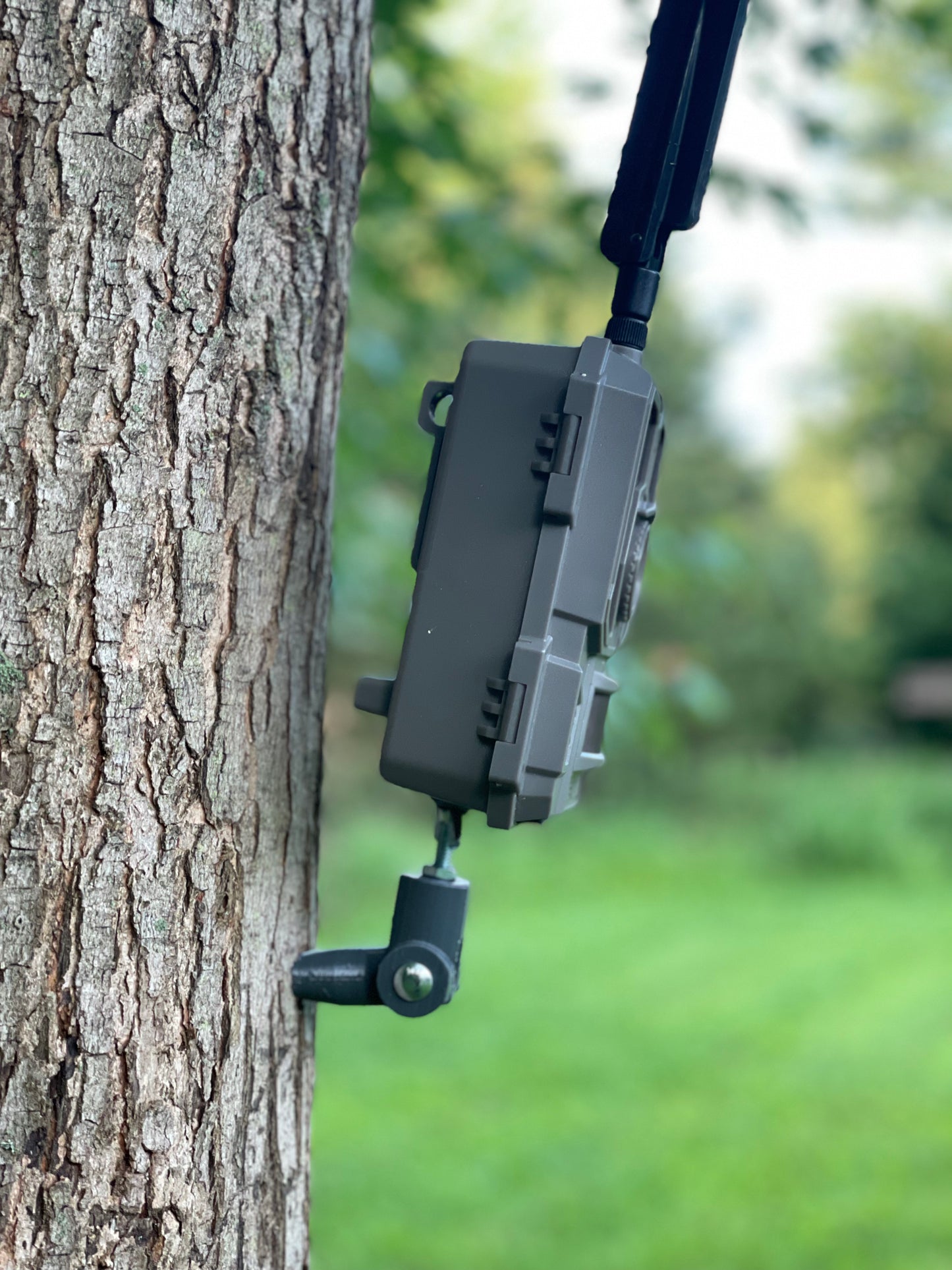 Lookout (Trail Camera Mount)