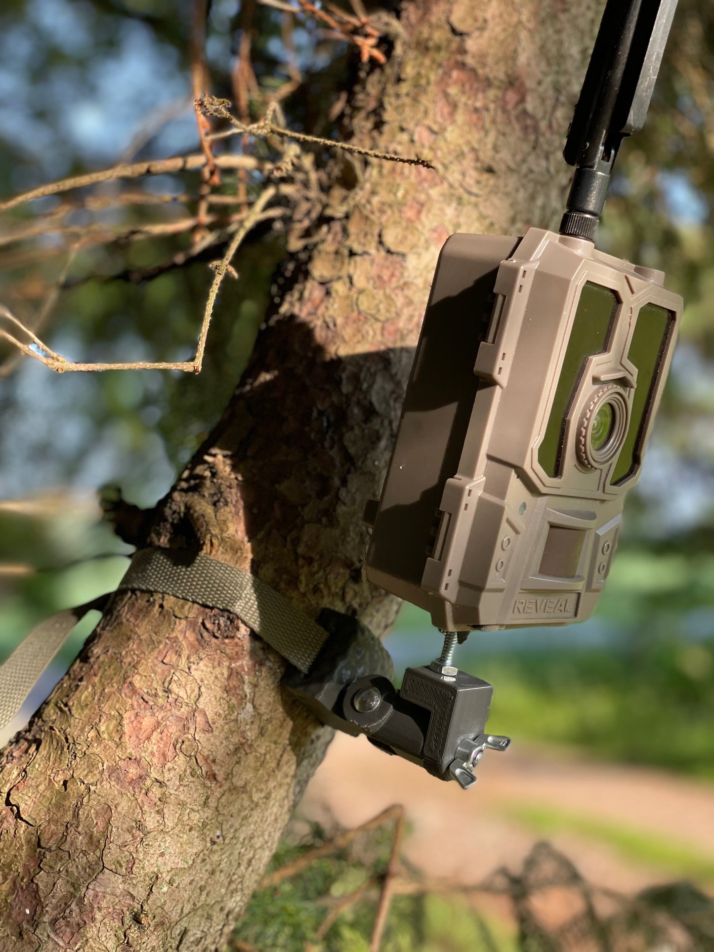 Lookout (Trail Camera Mount)